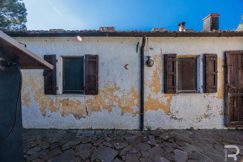 Landejendom i Cinigiano, Grosseto, Cinigiano - € 250.000 | Ref: R06244CIEH - foto 4