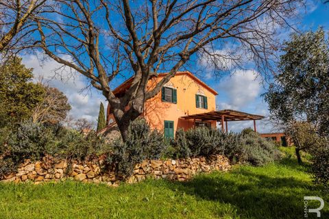 Masia a Capalbio, Grosseto, Capalbio - € 1.000.000 | Ref: R06270CACA - foto 6