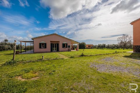 Masia a Capalbio, Grosseto, Capalbio - € 1.000.000 | Ref: R06270CACA - foto 18