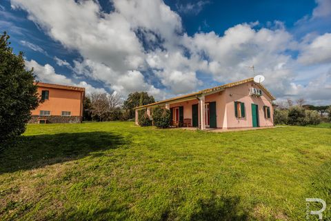 Masia a Capalbio, Grosseto, Capalbio - € 1.000.000 | Ref: R06270CACA - foto 14
