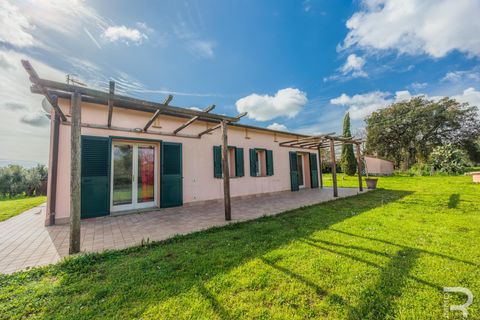 Masia a Capalbio, Grosseto, Capalbio - € 1.000.000 | Ref: R06270CACA - foto 17