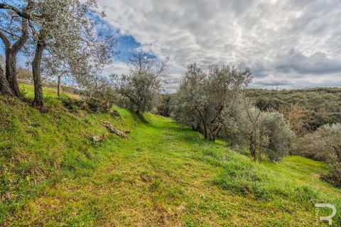 Landejendom i Arezzo, Arezzo, Arezzo - € 650.000 | Ref: R06263CAAR - foto 14