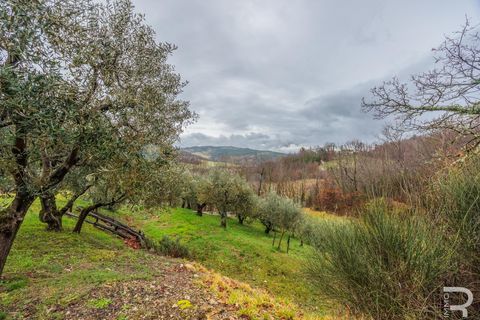 Villa a Caprese Michelangelo, Arezzo, Caprese Michelangelo - € 150.000 | Ref: R06262CAHH - foto 10
