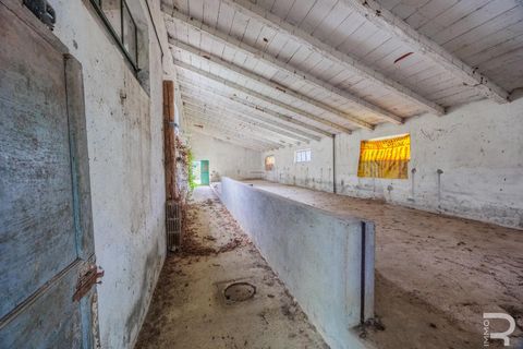 Villa a Terranuova Bracciolini, Arezzo, Terranuova Bracciolini - € 1.100.000 | Ref: R06146TERU - foto 14