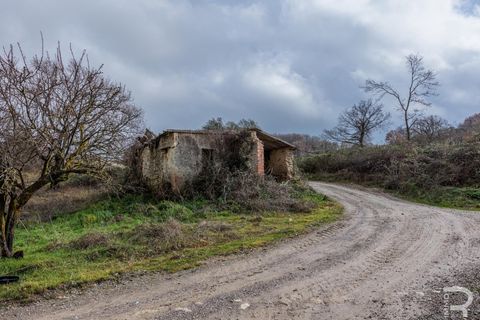 Landejendom i Radicofani, Siena, Radicofani - € 650.000 | Ref: R06150RACA - foto 11