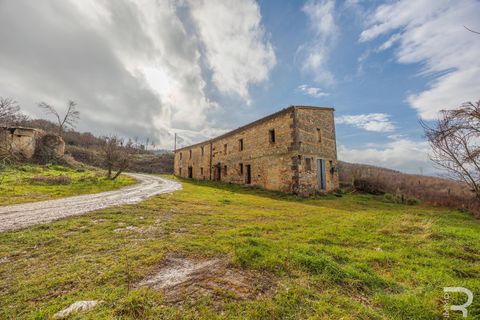 Landejendom i Radicofani, Siena, Radicofani - € 650.000 | Ref: R06150RACA - foto 3