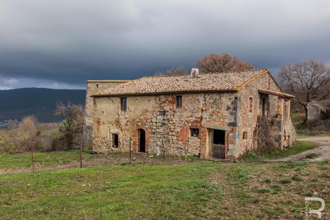 Landejendom i Radicofani, Siena, Radicofani - € 650.000 | Ref: R06150RACA - foto 7
