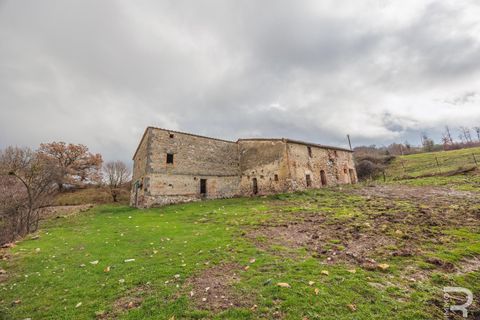 Landejendom i Radicofani, Siena, Radicofani - € 650.000 | Ref: R06150RACA - foto 5