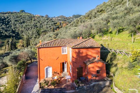 Villa i Massarosa, Lucca, Massarosa - € 845.000 | Ref: R06090MAVI - foto 1