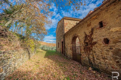 Landejendom i Bucine, Arezzo, Bucine - € 650.000 | Ref: R06043BURU - foto 19