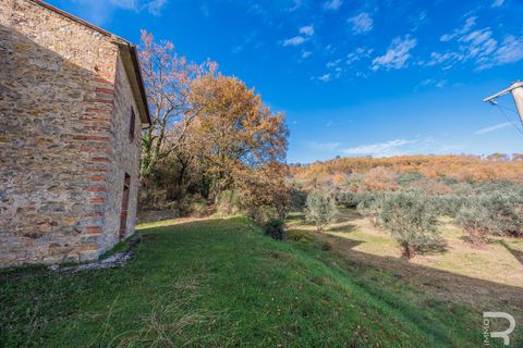 Landejendom i Bucine, Arezzo, Bucine - € 650.000 | Ref: R06043BURU - foto 15