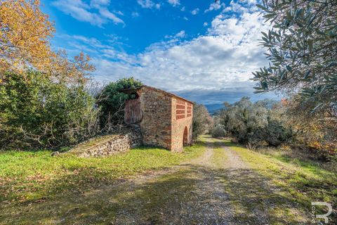 Landejendom i Bucine, Arezzo, Bucine - € 650.000 | Ref: R06043BURU - foto 21