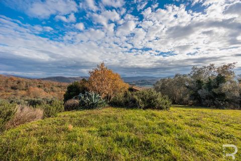 Landejendom i Bucine, Arezzo, Bucine - € 650.000 | Ref: R06043BURU - foto 23