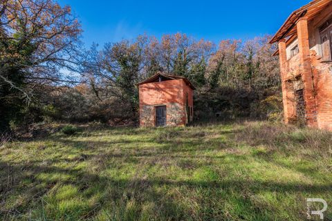 Landejendom i Bucine, Arezzo, Bucine - € 650.000 | Ref: R06043BURU - foto 14