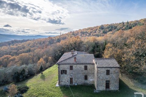 Landejendom i Bucine, Arezzo, Bucine - € 650.000 | Ref: R06043BURU - foto 5