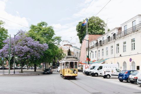 Lejlighed i Lisbon, Lisbon, Lisbon - € 975.000 | Ref: AAOther4208 - foto 8