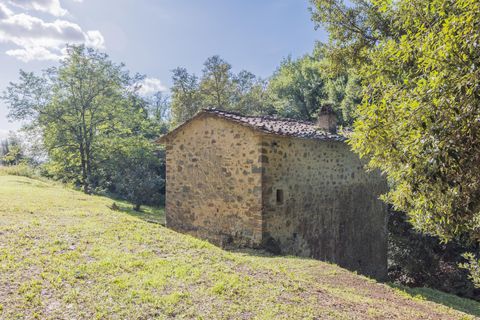 Landejendom i Lamporecchio, Pistoia, Lamporecchio - € 210.000 | Ref: R054889LARU - foto 10