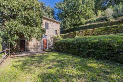 Landejendom i Lamporecchio, Pistoia, Lamporecchio - € 210.000 | Ref: R054889LARU - foto 4