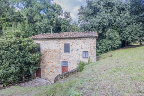 Landejendom i Lamporecchio, Pistoia, Lamporecchio - € 210.000 | Ref: R054889LARU - foto 2