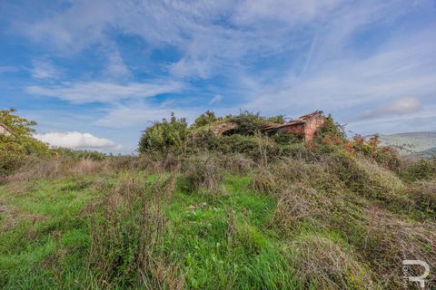 Landejendom i Scansano, Grosseto, Scansano - € 300.000 | Ref: R054897SCRU - foto 4
