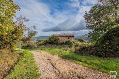 Landejendom i Scansano, Grosseto, Scansano - € 300.000 | Ref: R054897SCRU - foto 9