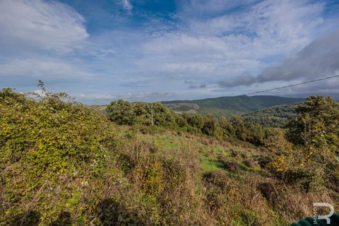 Landejendom i Scansano, Grosseto, Scansano - € 300.000 | Ref: R054897SCRU - foto 10