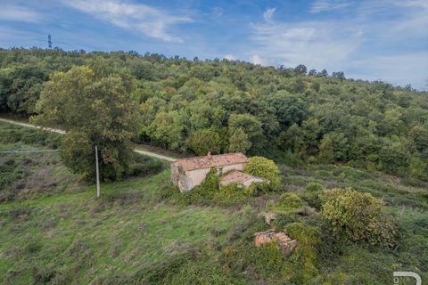 Landejendom i Scansano, Grosseto, Scansano - € 300.000 | Ref: R054897SCRU - foto 6