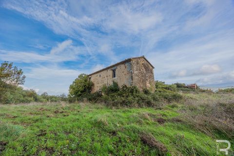 Landejendom i Scansano, Grosseto, Scansano - € 300.000 | Ref: R054897SCRU - foto 3