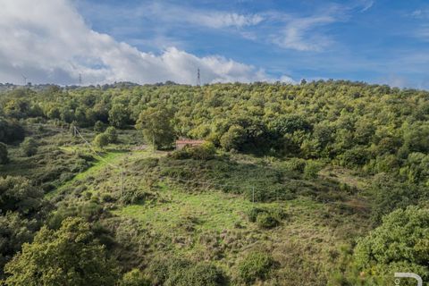 Landejendom i Scansano, Grosseto, Scansano - € 300.000 | Ref: R054897SCRU - foto 7