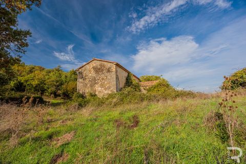 Landejendom i Scansano, Grosseto, Scansano - € 300.000 | Ref: R054897SCRU - foto 5