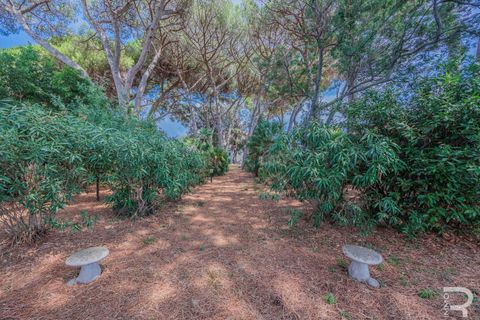 Villa i Cecina, Livorno, Cecina - € 750.000 | Ref: R054699CEVI - foto 16