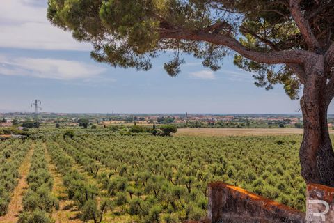 Villa i Cecina, Livorno, Cecina - € 750.000 | Ref: R054699CEVI - foto 40