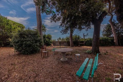 Villa i Cecina, Livorno, Cecina - € 750.000 | Ref: R054699CEVI - foto 13