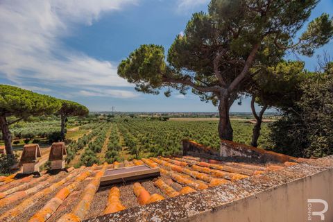 Villa i Cecina, Livorno, Cecina - € 750.000 | Ref: R054699CEVI - foto 37