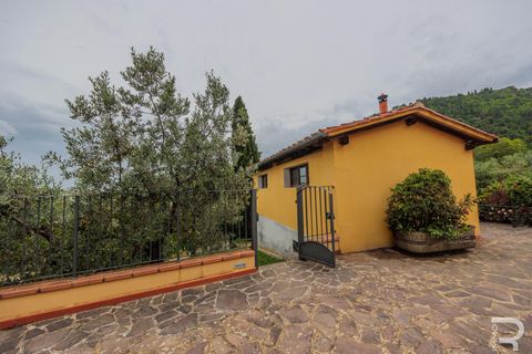 Landejendom i Carmignano, Prato, Carmignano - € 900.000 | Ref: R05360CARU - foto 17