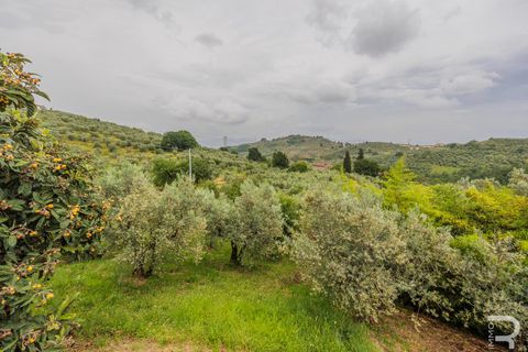 Landejendom i Carmignano, Prato, Carmignano - € 900.000 | Ref: R05360CARU - foto 18