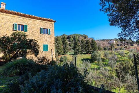 Landejendom i Pomarance, Pisa, Pomarance - € 610.000 | Ref: R05063PORU - foto 8
