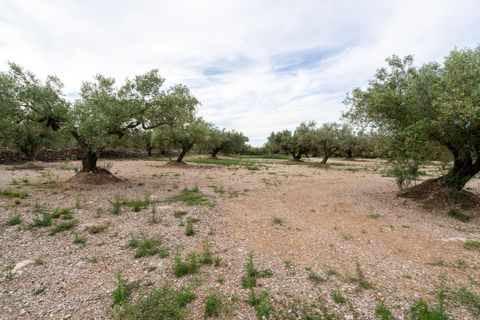 Finca i Ulldecona, Tarragona, Ulldecona - € 16.500 | Ref: 366 - foto 2