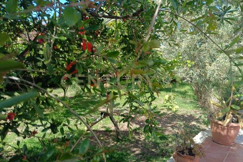 Villa i Noto, Siracusa, Noto - € 530.000 | Ref: 022-004 - foto 26