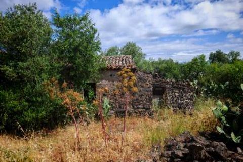 Landejendom i Paterno, Catania, Paterno - € 105.000 | Ref: 646 - foto 7