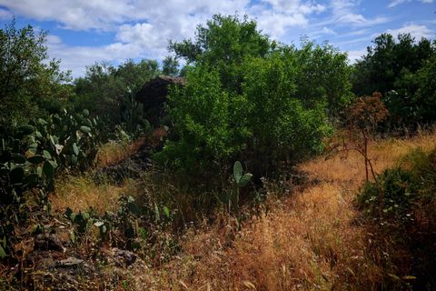 Landejendom i Paterno, Catania, Paterno - € 105.000 | Ref: 646 - foto 10