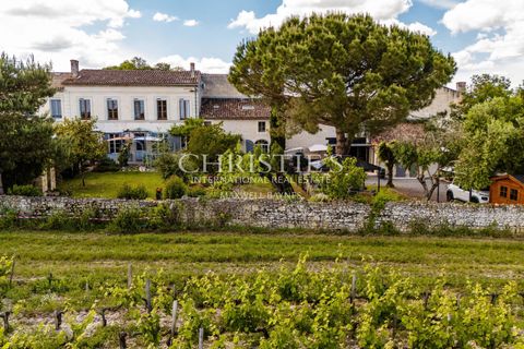 Villa a Saint-Estephe, Gironde, Saint-Estephe - € 1.100.000 | Ref: VE2012 - foto 21