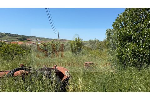 Helårsgrund i Alenquer, Lisbon, Alenquer - € 80.000 | Ref: SM_252 - foto 4