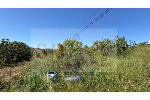 Helårsgrund i Alenquer, Lisbon, Alenquer - € 80.000 | Ref: SM_252 - foto 5