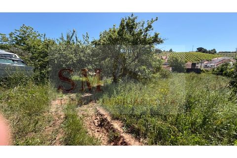 Helårsgrund i Alenquer, Lisbon, Alenquer - € 80.000 | Ref: SM_252 - foto 6