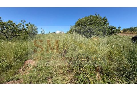 Helårsgrund i Alenquer, Lisbon, Alenquer - € 80.000 | Ref: SM_252 - foto 7