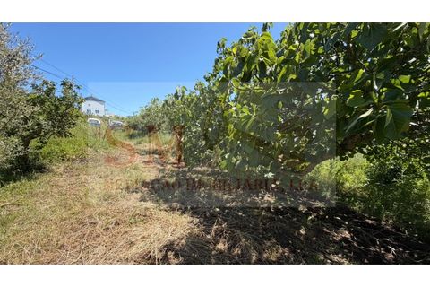 Helårsgrund i Alenquer, Lisbon, Alenquer - € 80.000 | Ref: SM_252 - foto 11