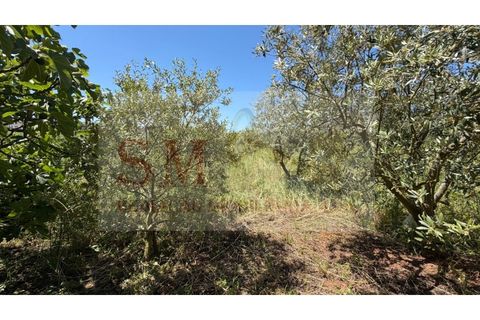 Helårsgrund i Alenquer, Lisbon, Alenquer - € 80.000 | Ref: SM_252 - foto 14