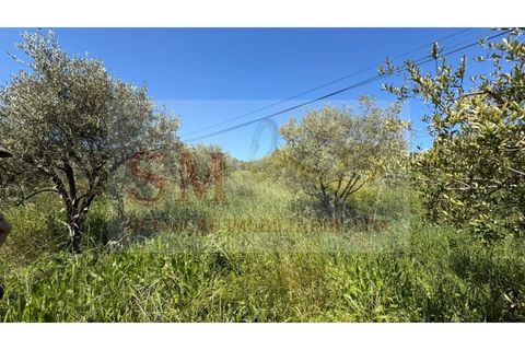 Helårsgrund i Alenquer, Lisbon, Alenquer - € 80.000 | Ref: SM_252 - foto 17
