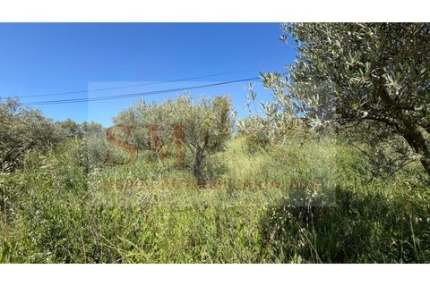 Helårsgrund i Alenquer, Lisbon, Alenquer - € 80.000 | Ref: SM_252 - foto 18